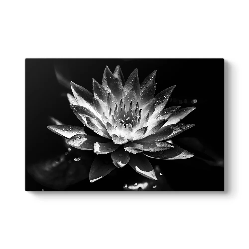 Siyah Beyaz Lotus Çiçeği Tablosu
